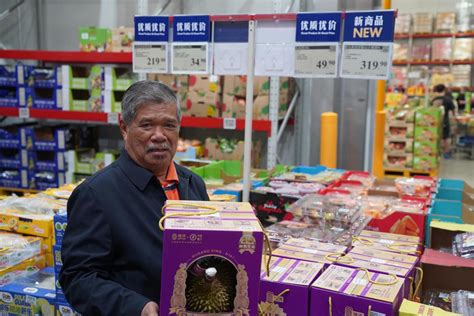 Malaysian Musang King durians being sold at $105 per fruit in .